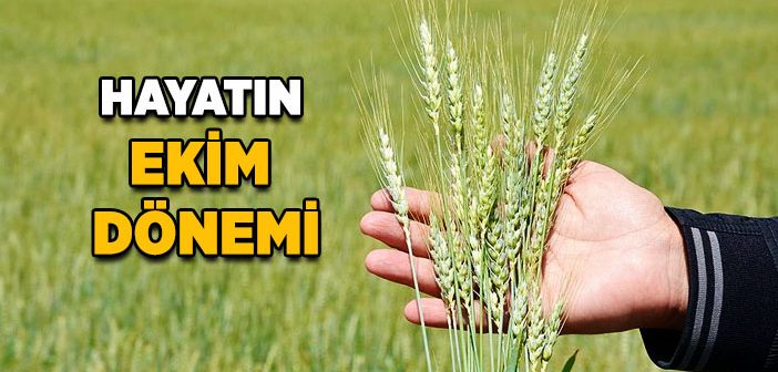 Her Şeyin Üzerine Kurulduğu Haslet