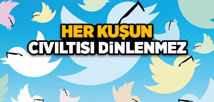 Her Kuşun Cıvıltısı Dinlenmez