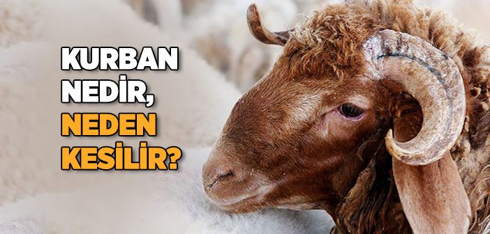 Kurban Nedir?