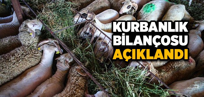 Kurban Bayramı’nda Kaç Kurbanlık Satıldı?