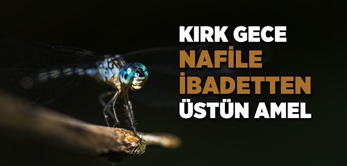 Tefekkürle İnkişâf Eden Ruh