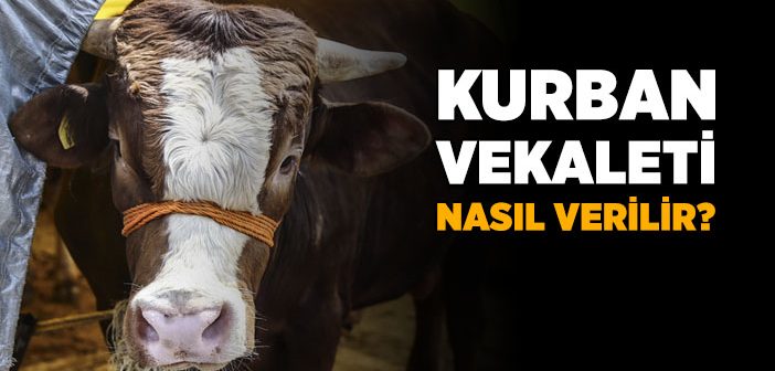 Kurban Vekaleti Nasıl Verilir?