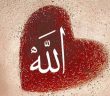 Allah'ı Dost Edinmek İsteyen Kişi
