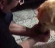Susayan Köpeğe Polis Şefkati