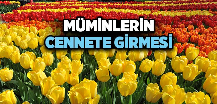 Müminlerin Cennete Girmesi