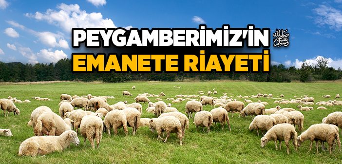 Peygamberimiz'in Emanete Riayeti