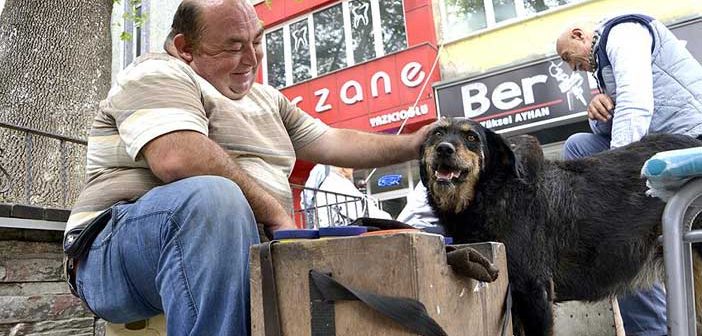 Kazancını Köpeğiyle Paylaşıyor