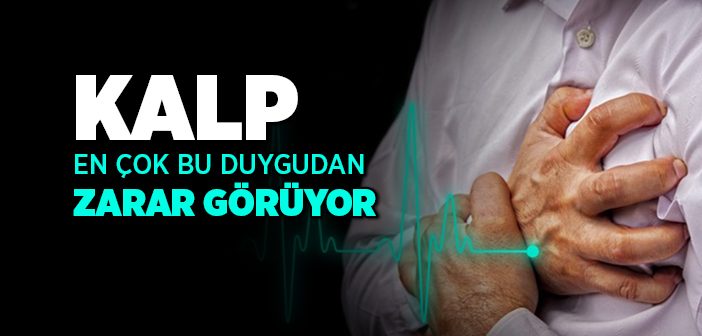 Kalbe Zarar Veren Şeyler