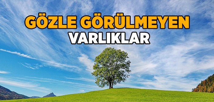 Gözle Görülemeyen Varlıklar Nelerdir? | İslam ve İhsan