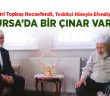 Bursa’da Bir Çınar Vardı