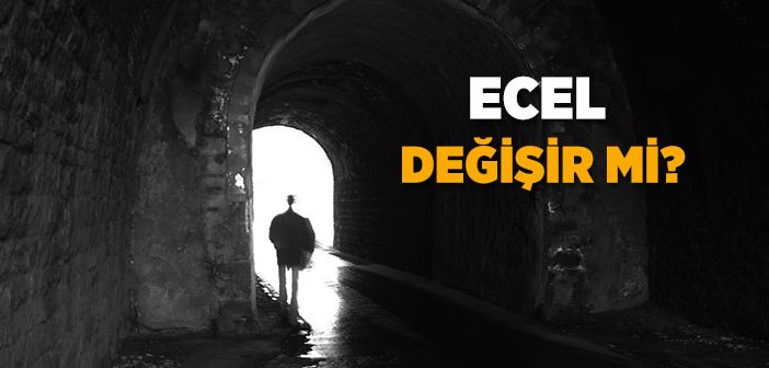 Ecel Nedir, Nerede ve Ne Zaman Gelir?