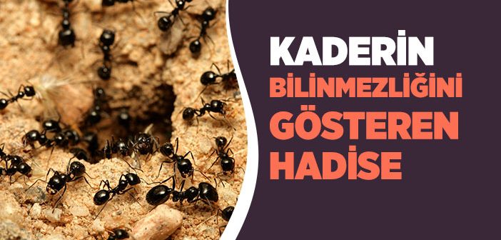 Kader Kıssası