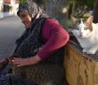 Sahipsiz Kedilerin Annesi