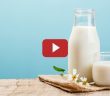 Kefir, Boza ve Kımız İçmek Caiz midir?