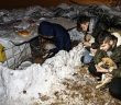 Gençler Köpek Yavrularını Donmaktan Kurtardı