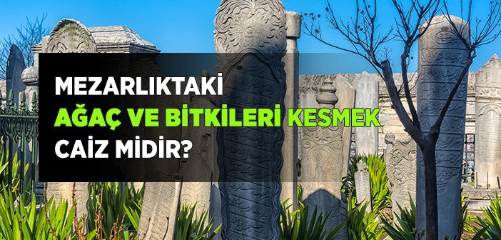 Mezarlıktaki Ağaç ve Bitkileri Kesmek Caiz midir?