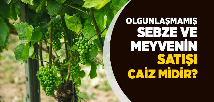 Olgunlaşmamış Sebze ve Meyvenin Satışı Caiz midir?