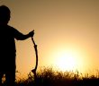 Peygamber Efendimiz’in Talim ve Terbiye Metodu
