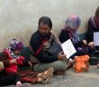 Hayatta Kalmaya Çalışıyorlar