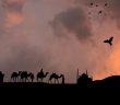 Allah’ın Temize Çıkardığı Dört Kişi