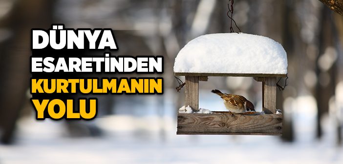 Dünya Esaretinden Kurtulmanın Yolu