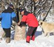 Sokak Hayvanları İçin Yıllardır Ekmek Topluyorlar