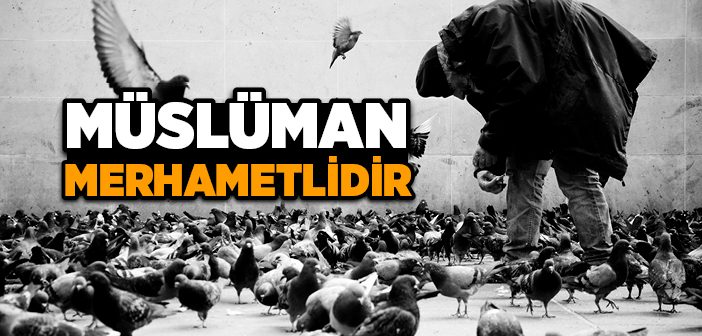 Müslüman Merhametlidir