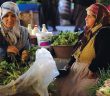 Peygamberimiz Döneminde Kadınlar Dışarıda Çalışır mıydı?