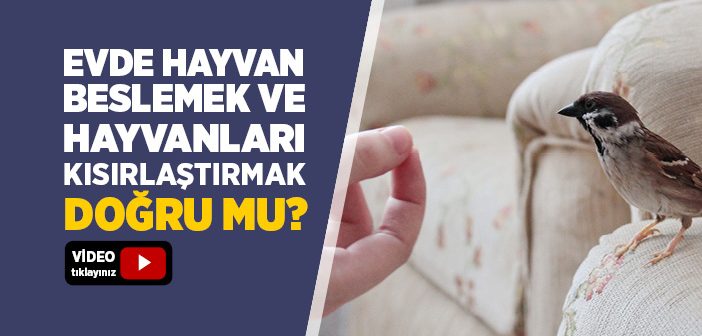 Evde Hayvan Beslemek ve Hayvanları Kısırlaştırmak Caiz mi?