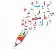 Genç'te Osmanlıca Dersleri Başlıyor