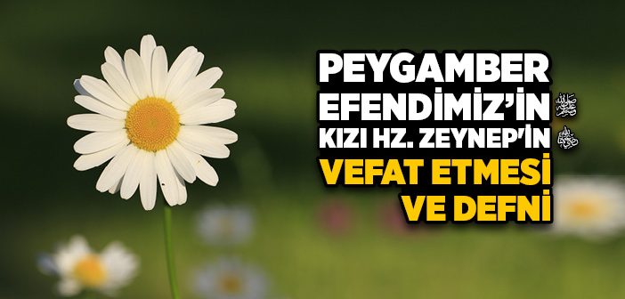 Peygamber Efendimiz’in Kızı Hz. Zeynep Ne Zaman Vefat Etti?