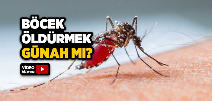 Zararlı Böcekleri Öldürmek Günah mıdır?