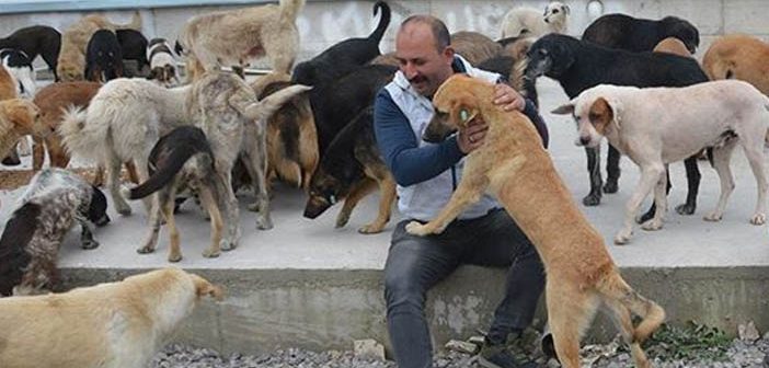 Sokak Hayvanlarına Sahip Çıkıyorlar