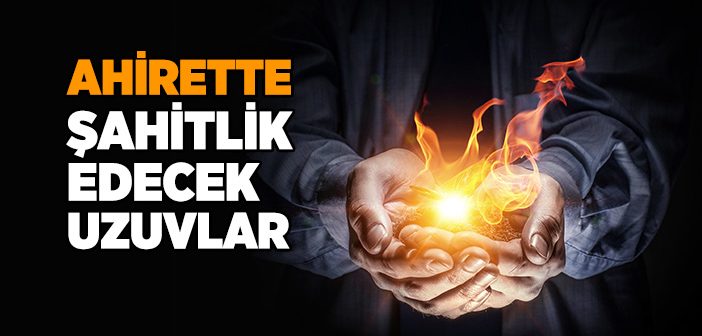 Ahirette Şahitlik Edecek Organlar