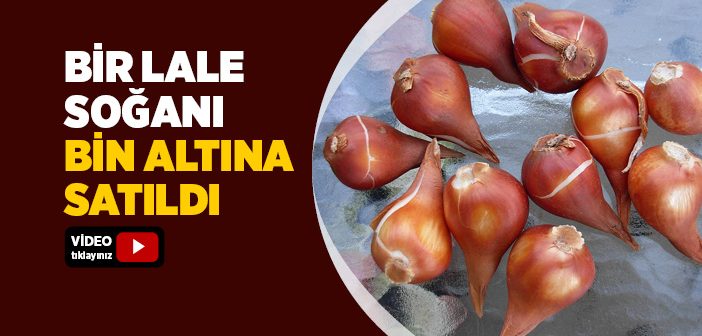 Lale Devri’nin Olumsuz Yönleri