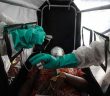 Kongo'da Ebola'dan Ölenlerin Sayısı Bin 400'ü Geçti