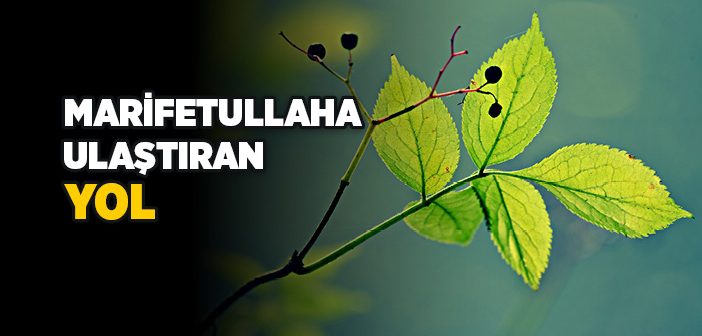 Allah’ı Nasıl Bulurum?