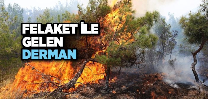 Hava Kirliliğinin Nedenleri ve Sonuçları