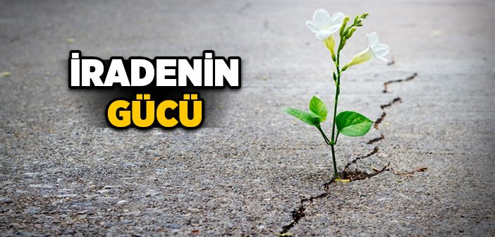 İradenin Gücü