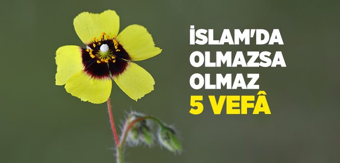 İslam'da Vefanın Önemi ve Fazileti