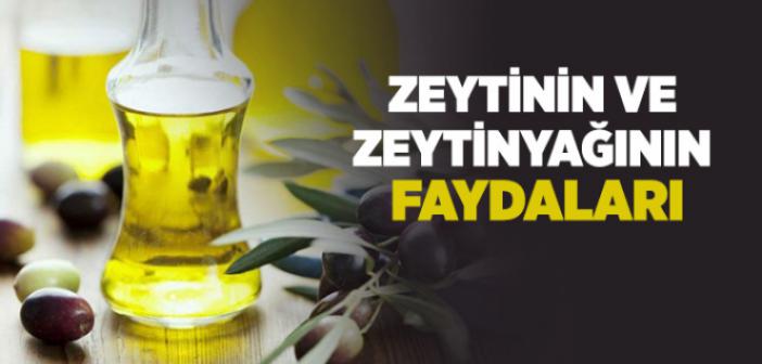 Zeytinin ve Zeytinyağının Faydaları Nelerdir?