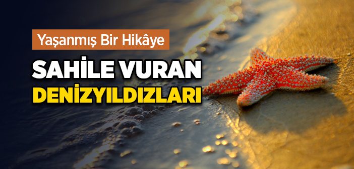 Sahile Vuran Denizyıldızları