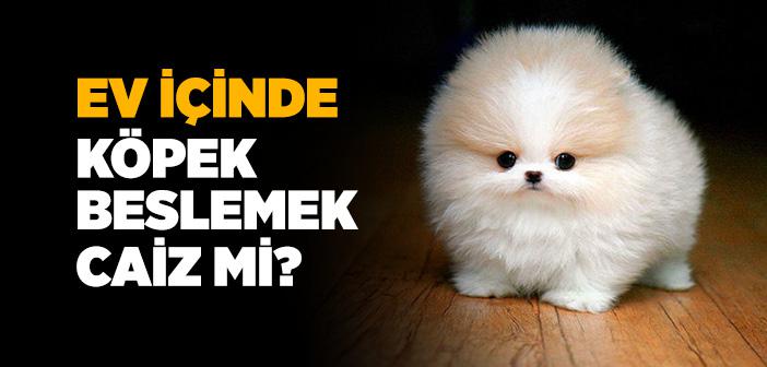 dinimizde ev icinde kopek beslemek caiz midir