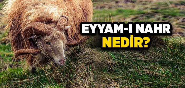 Eyyam-ı Nahr Ne Demek?