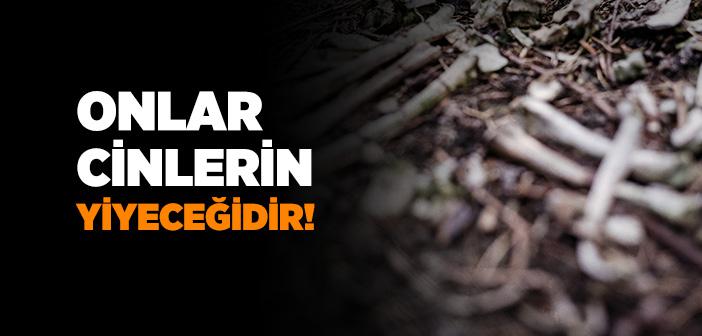 Onlar Cinlerin Yiyeceğidir!