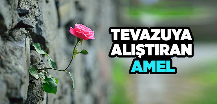 Tevazuya Alıştıran Amel