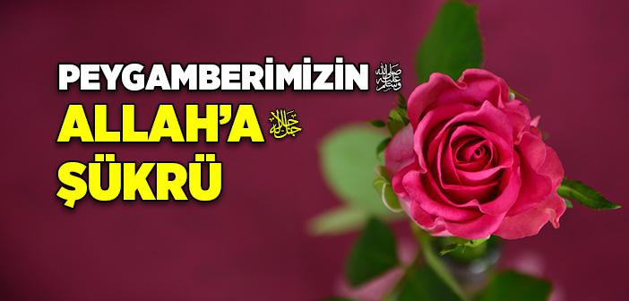 Peygamberimizin Allah’a Şükrü