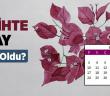 Tarihte Bu Ay