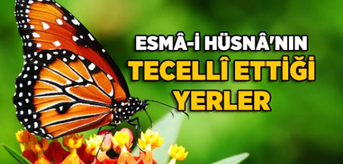 Esmaül Hüsna’nın Tecelli Ettiği Yerler