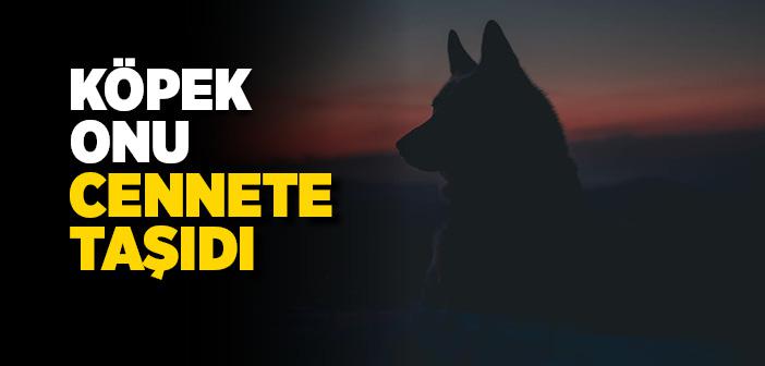 Köpeğe Su Verdiği İçin Cennete Giren Günahkar Kadın